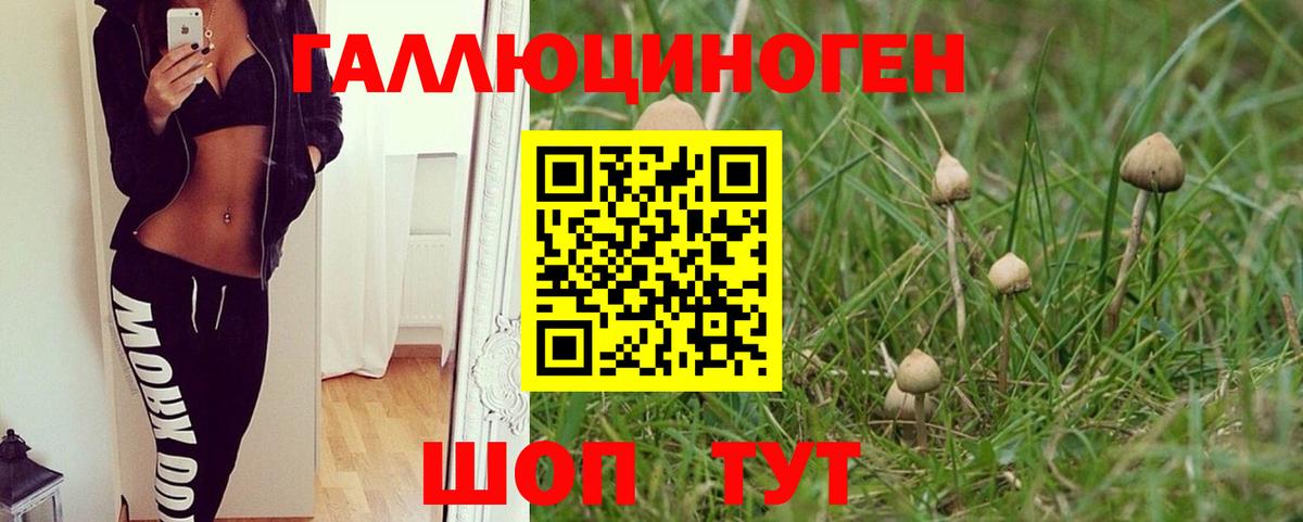 Псилоцибиновые грибы мухоморы Сердобск